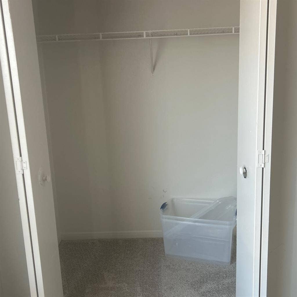 Looking for a Roommate