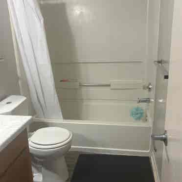 Looking for a Roommate