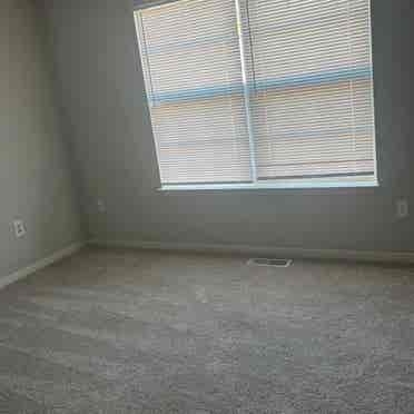 Looking for a Roommate