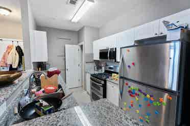 Entire Apartment for Rent!