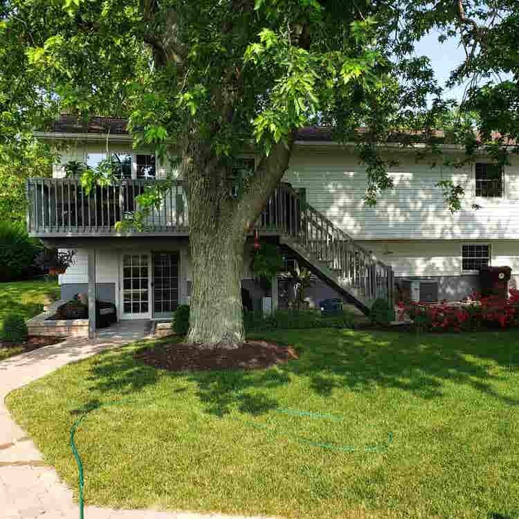 Roommate needed