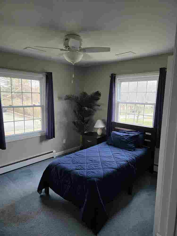 Roommate needed