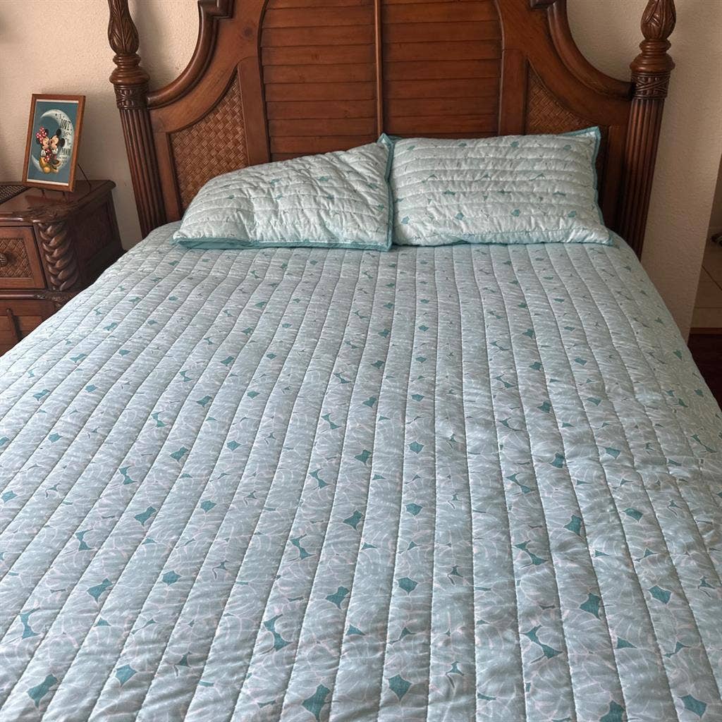 Furnished bedroom for rent