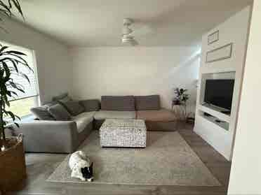 Room for rent; remodeled Townhome