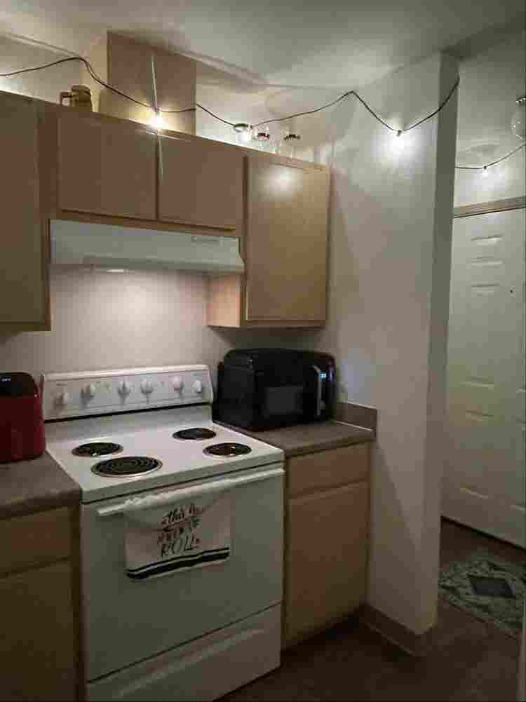 Looking for a roomie, open august!