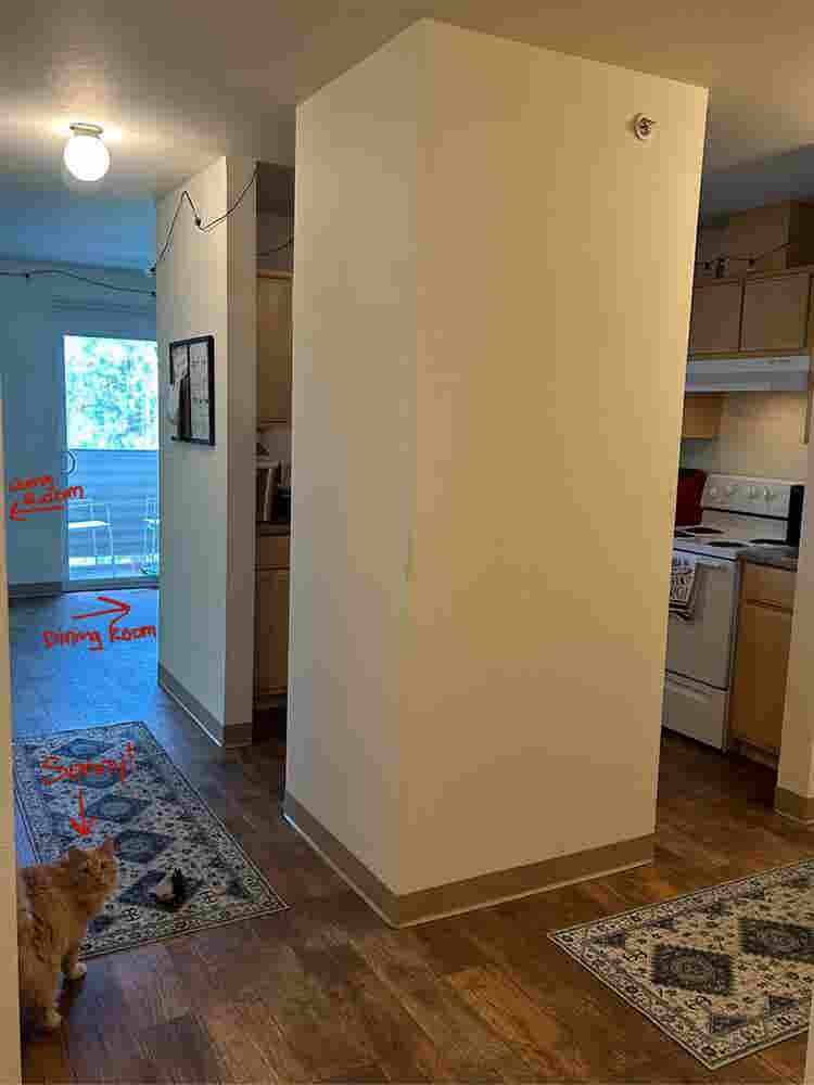 Looking for a roomie, open august!