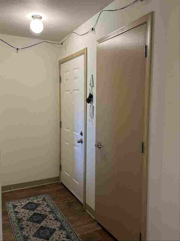 Looking for a roomie, open august!