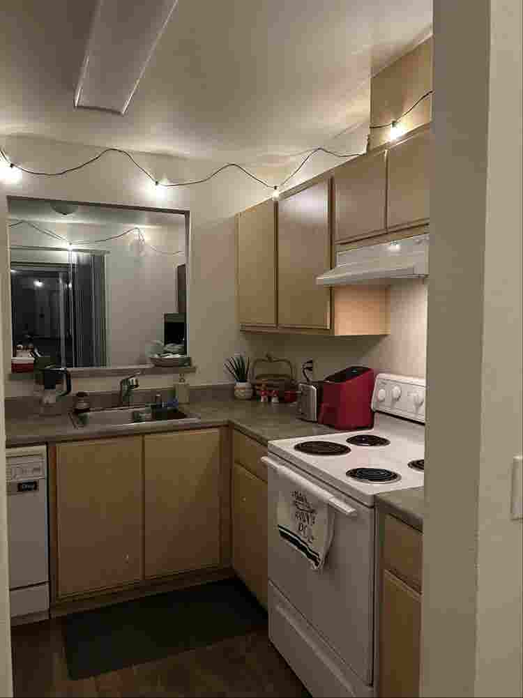 Looking for a roomie, open august!