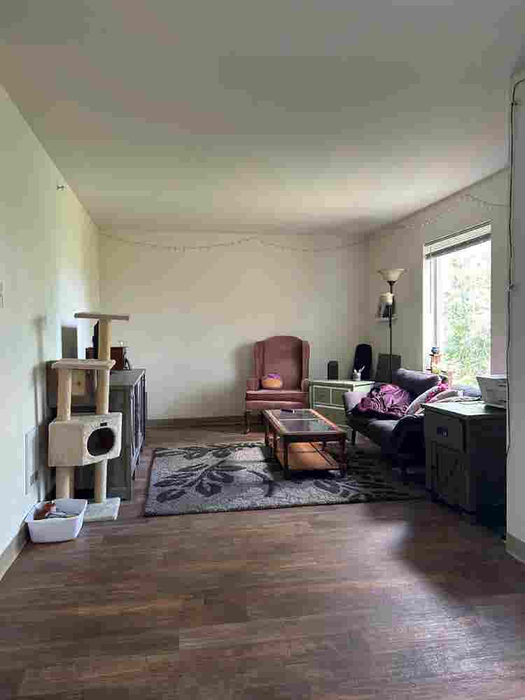 Looking for a roomie, open august!