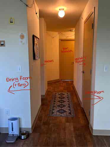 Looking for a roomie, open august!