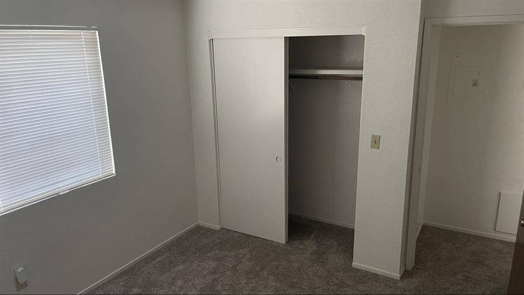 Room in Ground Level Apt