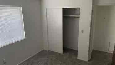 Room in Ground Level Apt