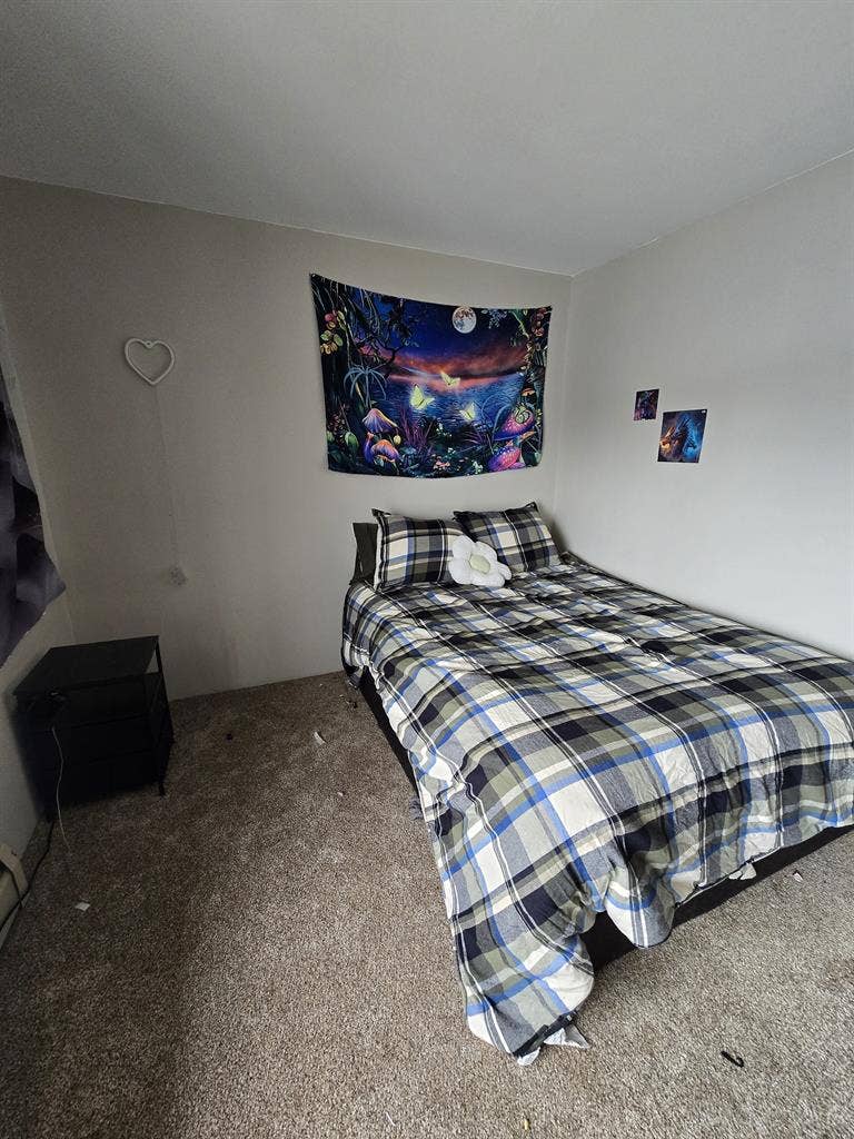 1 room, including a queen sized bed