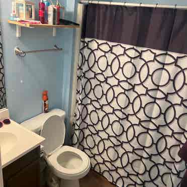 Female Roommate Needed