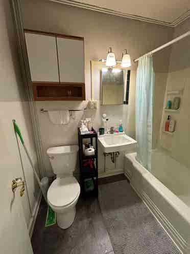 UVA summer sublet May