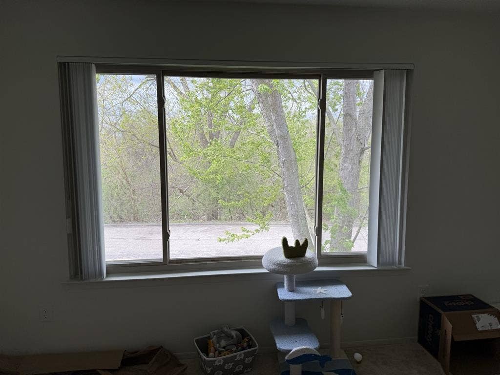 New Listing