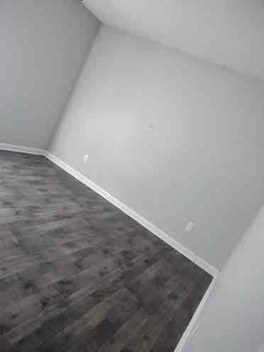 Shared luxury apartment