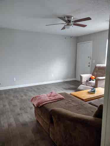 Shared luxury apartment