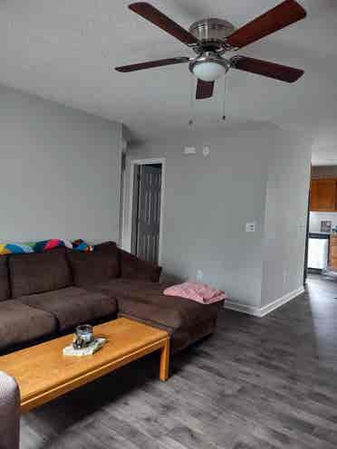 Shared luxury apartment