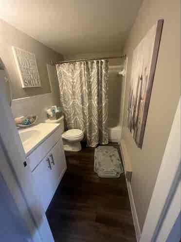 Renewing lease looking 4 new roomie