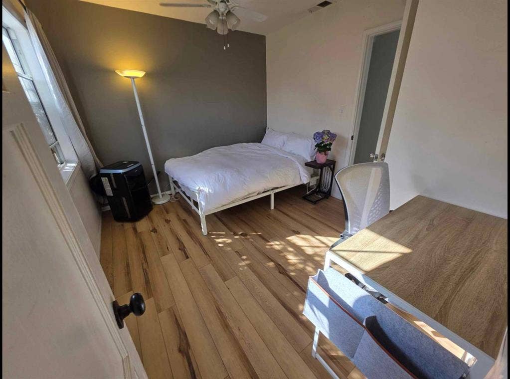 Ideal for a Young Professional F