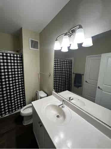New 2 Bedroom Apartment in Laurel