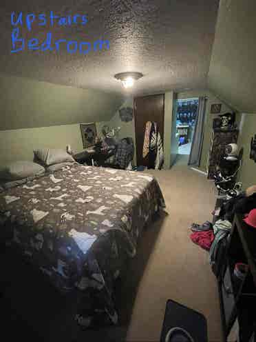 Bedroom and loft in Queer house