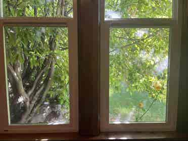 Room for Rent in Peaceful 3BR Home