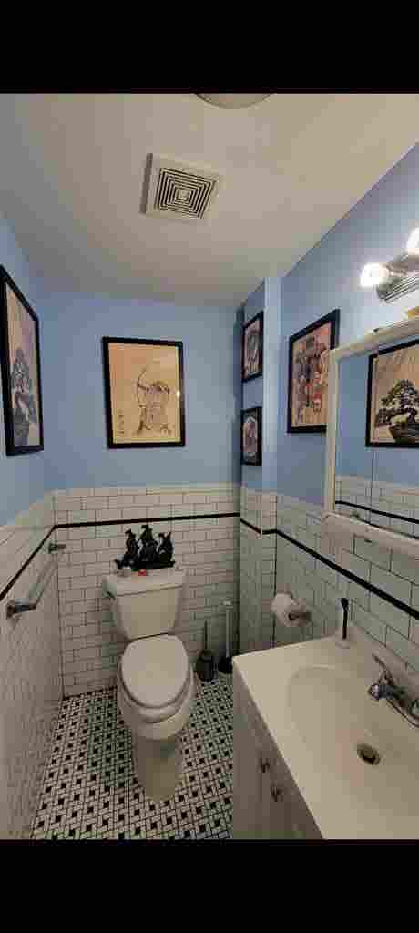 Looking for a roommate