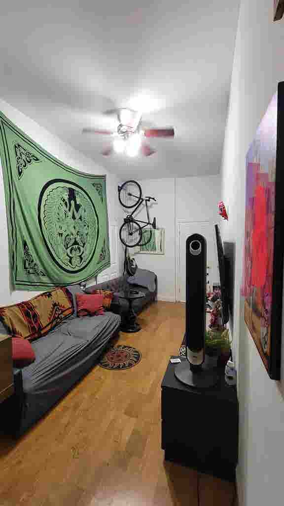 Looking for a roommate