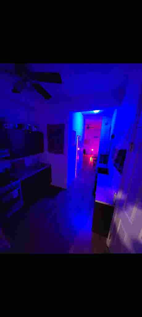 Looking for a roommate