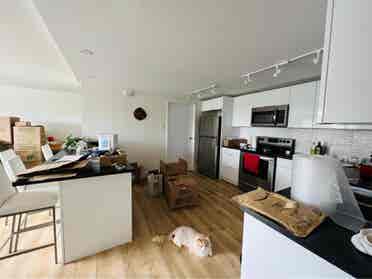 Looking for female roommate