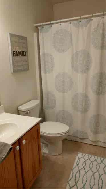 Looking for a responsible roommate