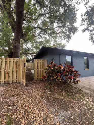 Nice apartment at palm harbor