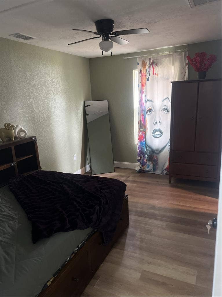 Nice apartment at palm harbor