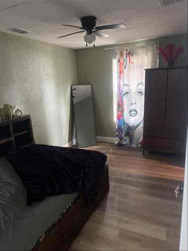 Nice apartment at palm harbor