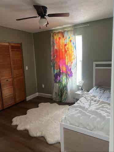 Nice apartment at palm harbor