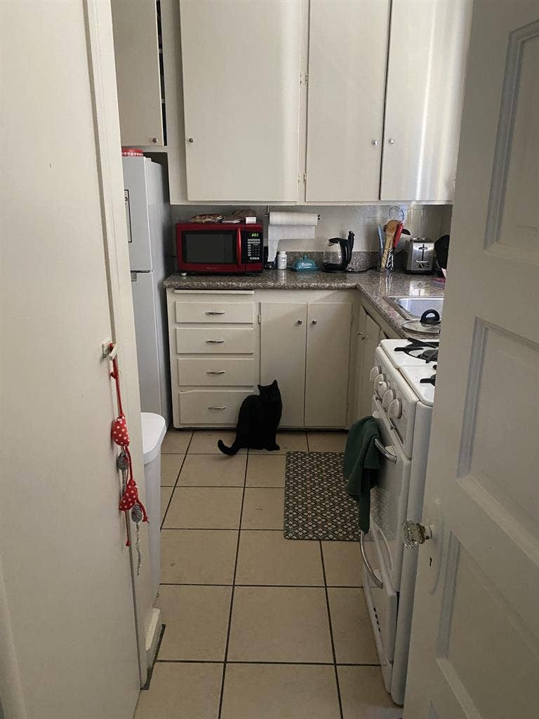 Summer Sublet