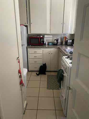 Summer Sublet