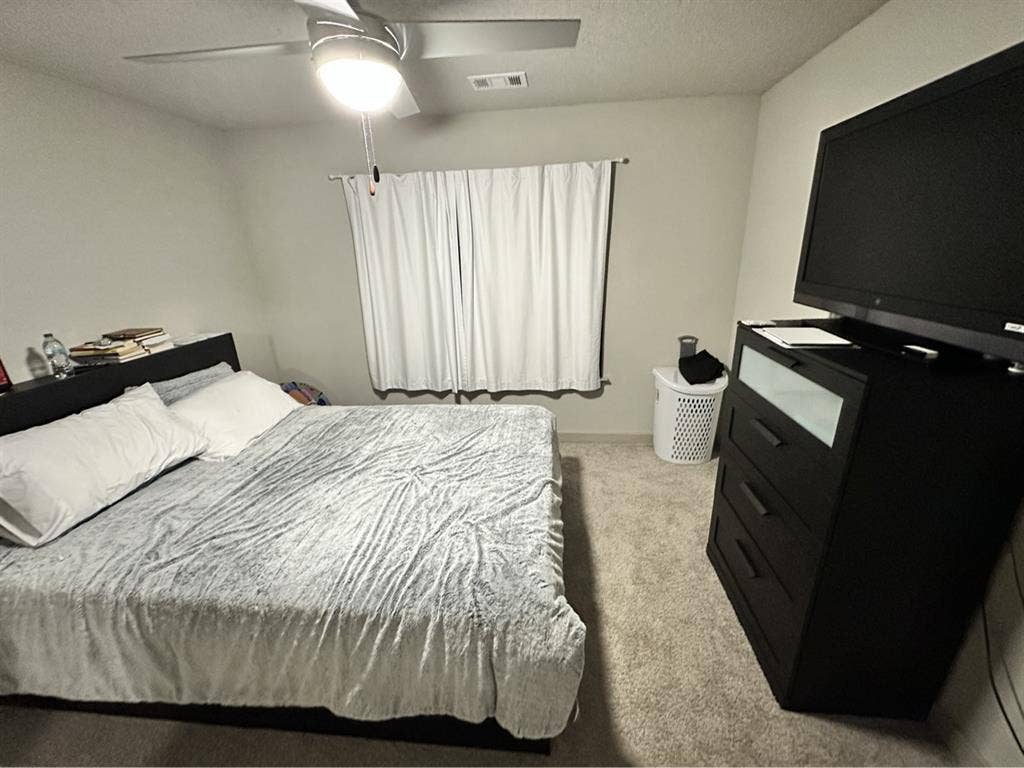 roommate needed asap