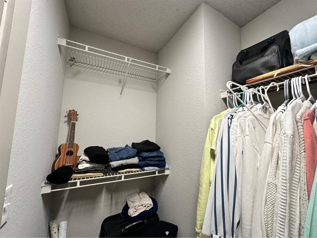 roommate needed asap