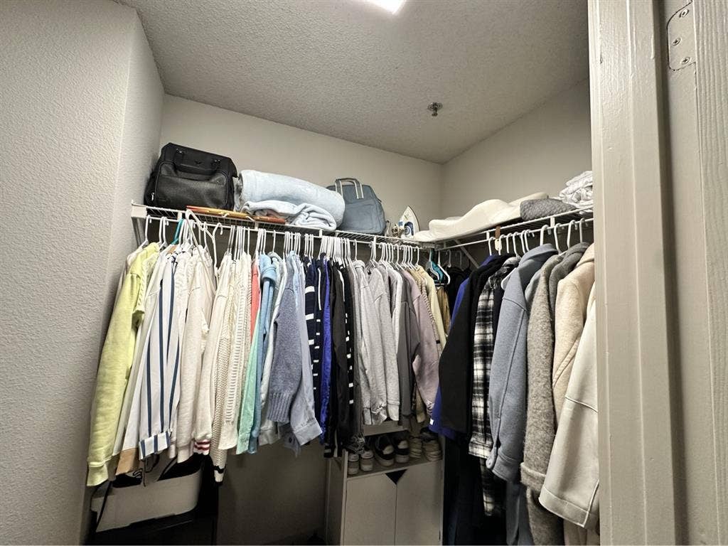 roommate needed asap