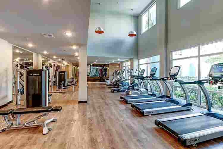 January Availability! Ready in Dec!