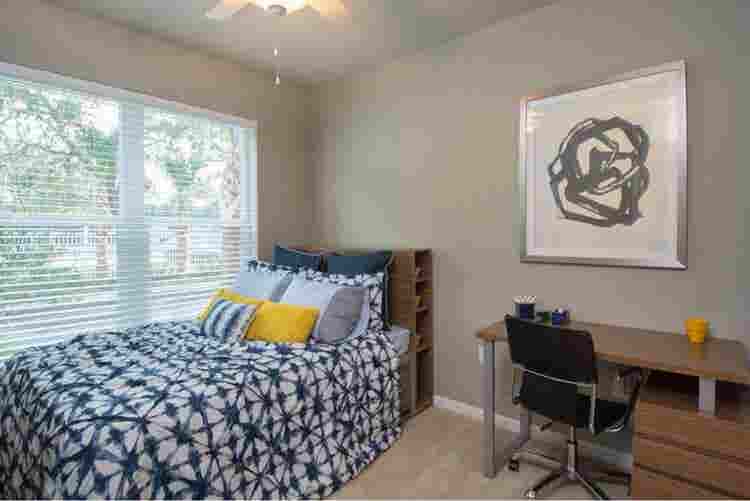 January Availability! Ready in Dec!