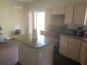 Looking for a roommate