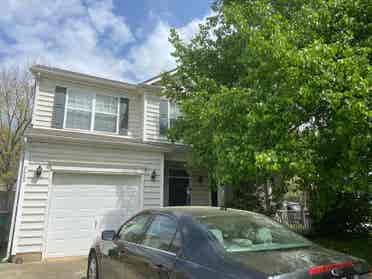 Looking for a roommate