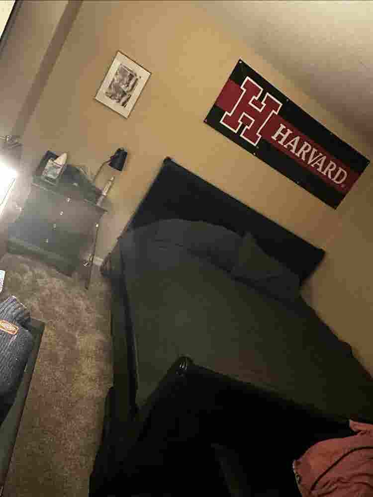 Harvard student needs male roommate
