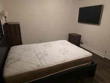 Priv room, pool, new floor/ paint