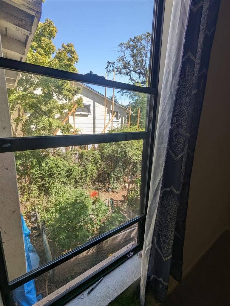 Room for rent, creekside apartment