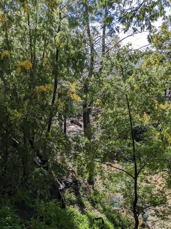 Room for rent, creekside apartment